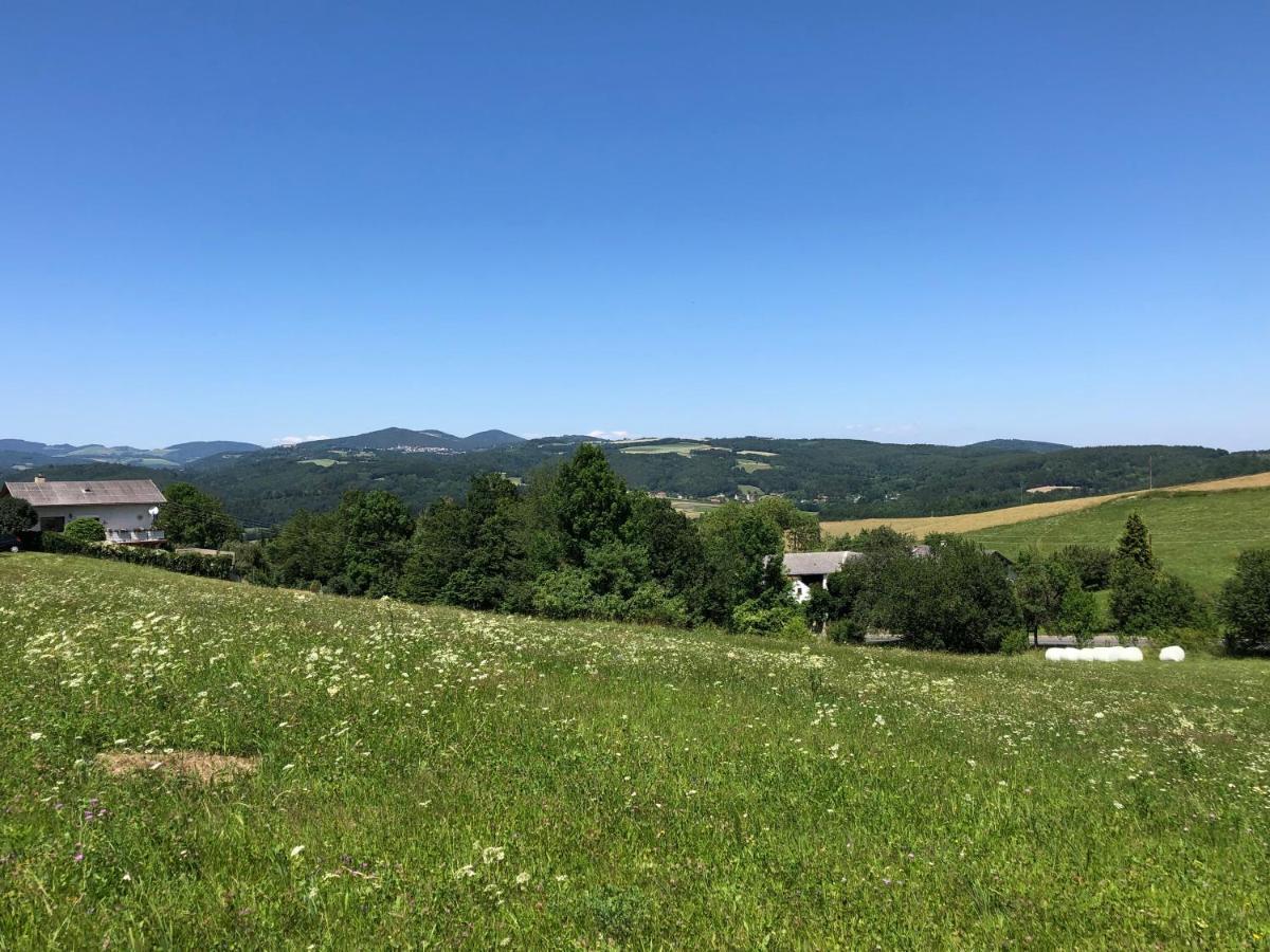 Koller Mariasdorf